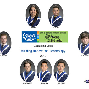 GBC-T148 - Building Renovation Tech Composite  (2018 - 2019)