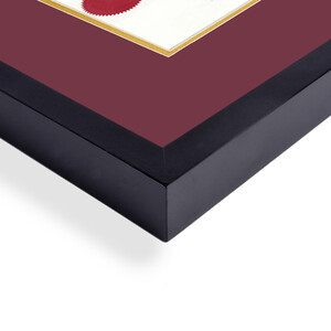 Diploma Frame for McMaster University BURGANDY MATTE